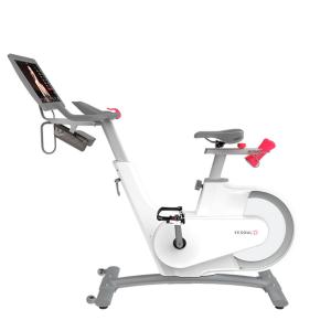 Купить Велотренажер Yesoul BV1-W PLUS в Тереке 